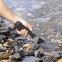 Подводный пинпоинтер PulseDive Pointer  3