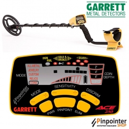 Металлоискатель Garrett ACE 250