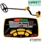 Металлоискатель Garrett Euro ACE (350)